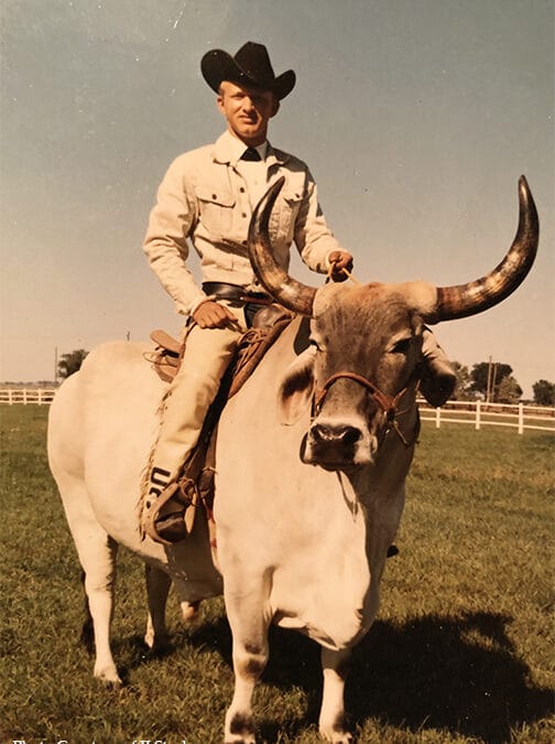 A cowboy wearing a black hat sits atop a Brahma bull using a saddle.